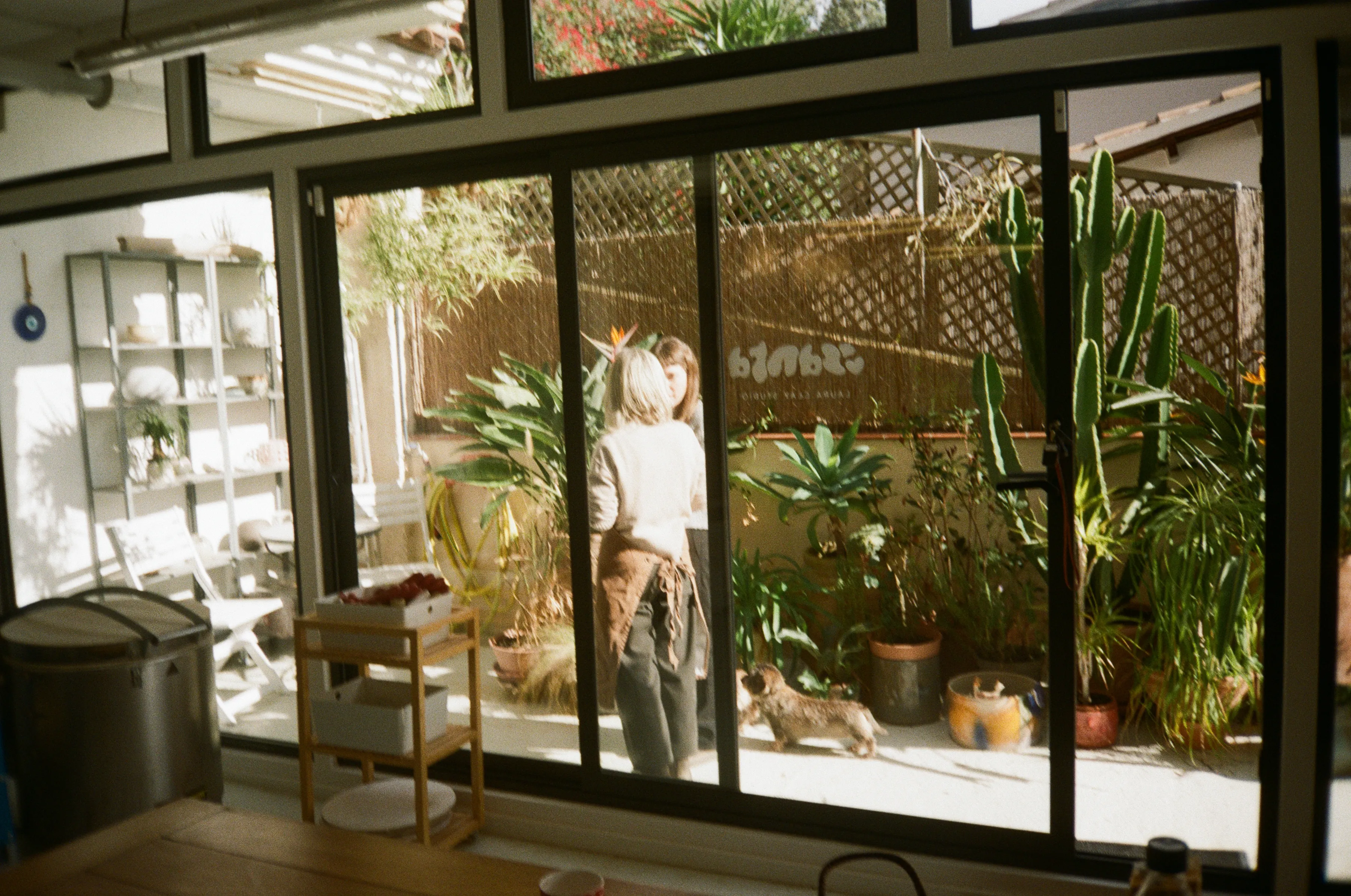 El patio de plantas del estudio visto desde el interior a través de la cristalera, con el logo de santa en el vidrio y Laura charlando al sol con una alumna